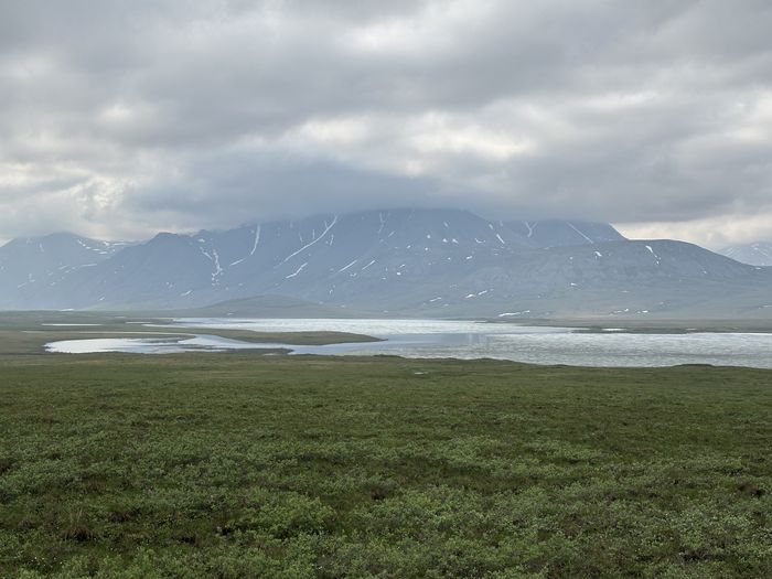 23 Img 0490